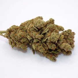 Fleurs CBD Joigny, Toucy, Migennes, Villeneuve sur Yonne